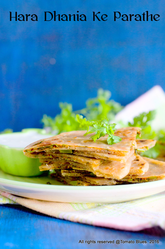 coriander paratha