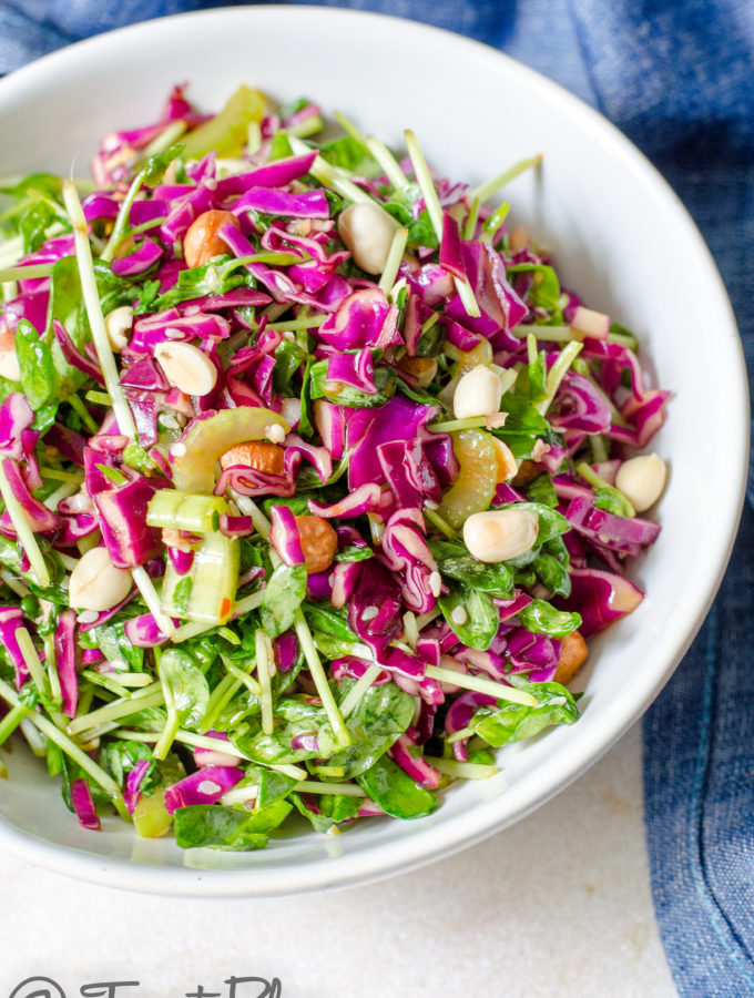 Oriental style cabbage and pea sprouts salad