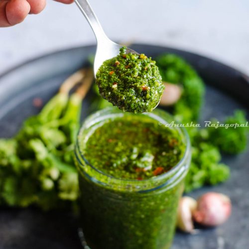cilantro chimichurri in a glass jar with a spoon of chimichurri held over it.