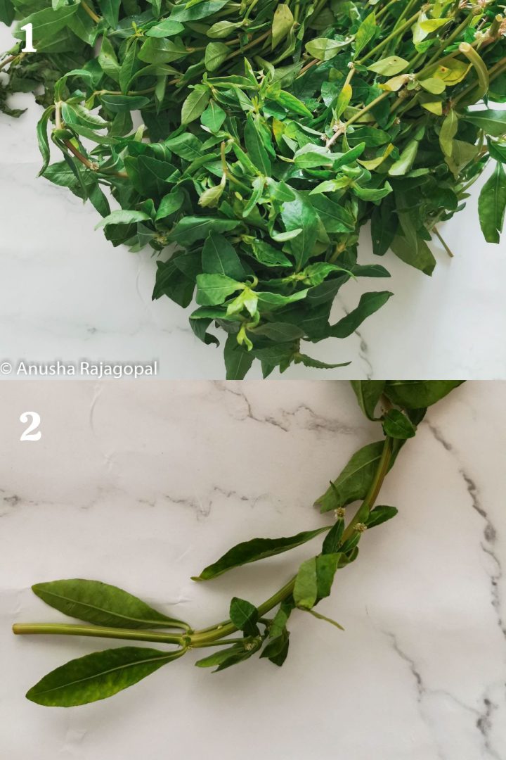 how to use alternanthera sessilis (Naatu Ponnanganni)