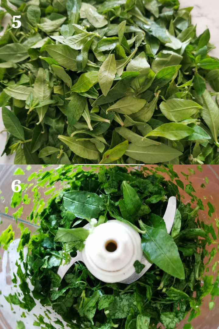 how to use alternanthera sessilis