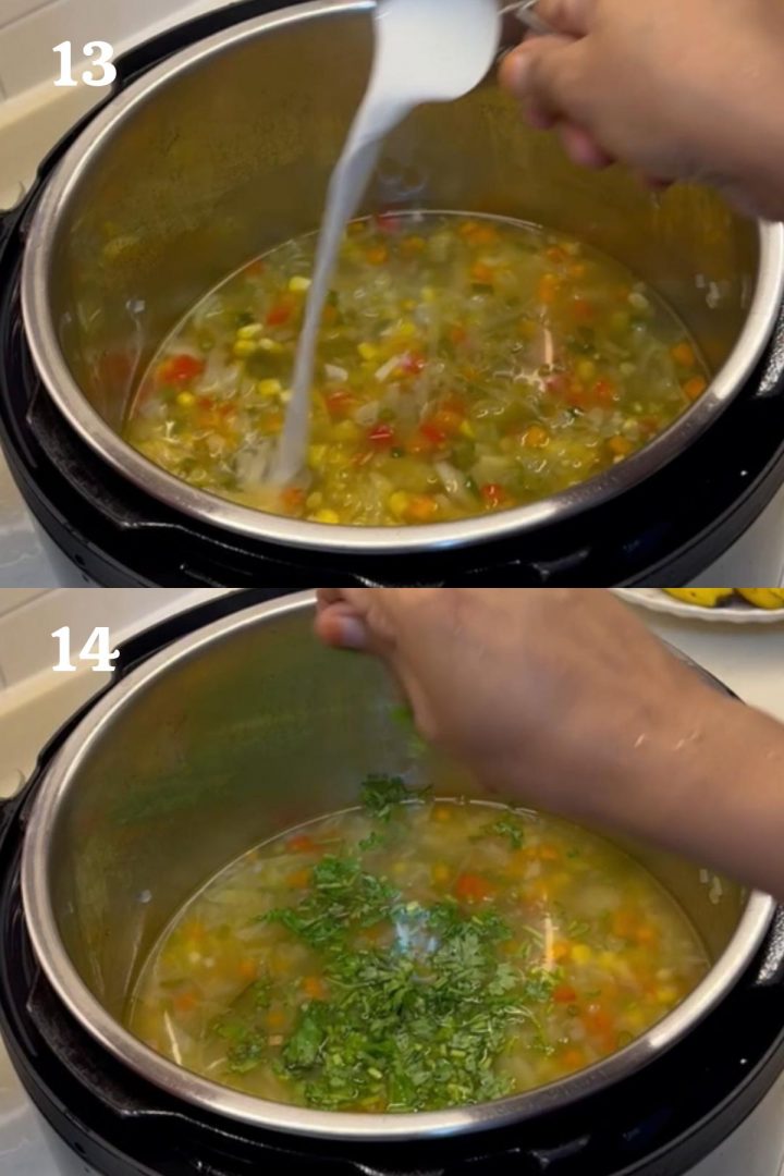 Step by step guide to make vegetable soup in the instant pot