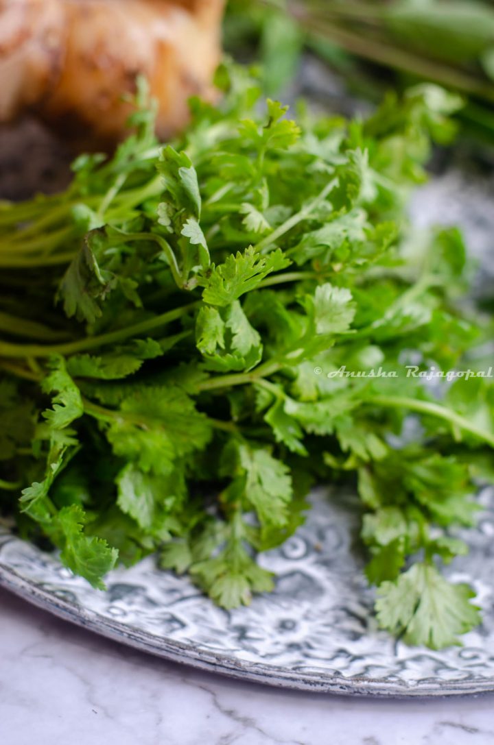 a close shot of cilantro, also called as coriander