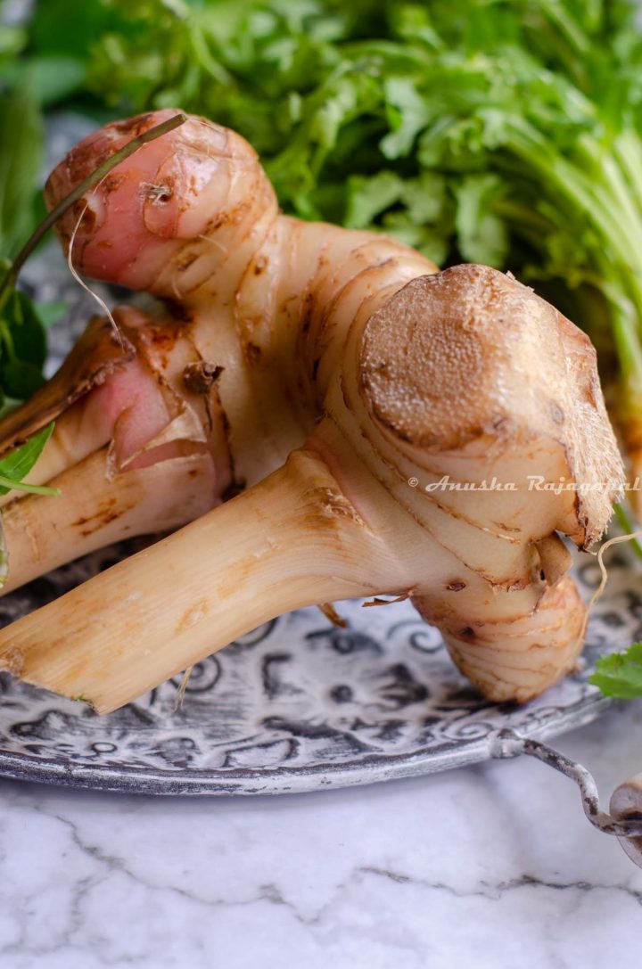 A close up shot of Thai ginger or galangal