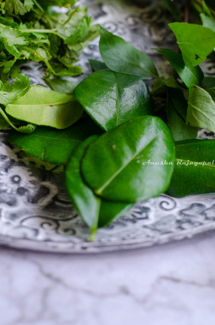 a close up shot of makrut lime leaves