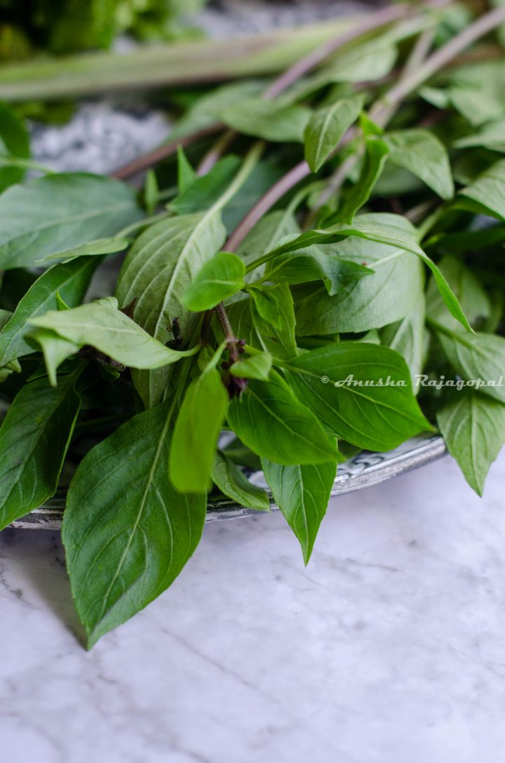 How does Thai basil look like?