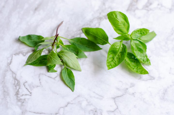 thai basil vs Italian basil